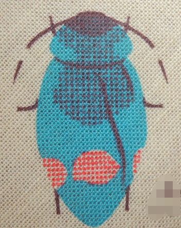 2013y06m13d_080624263